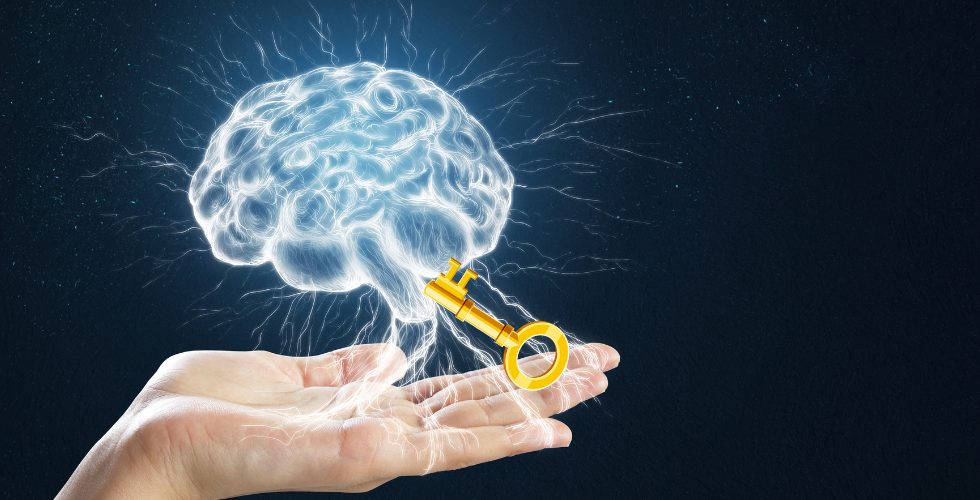 Home Quick Reset Emilia Chen