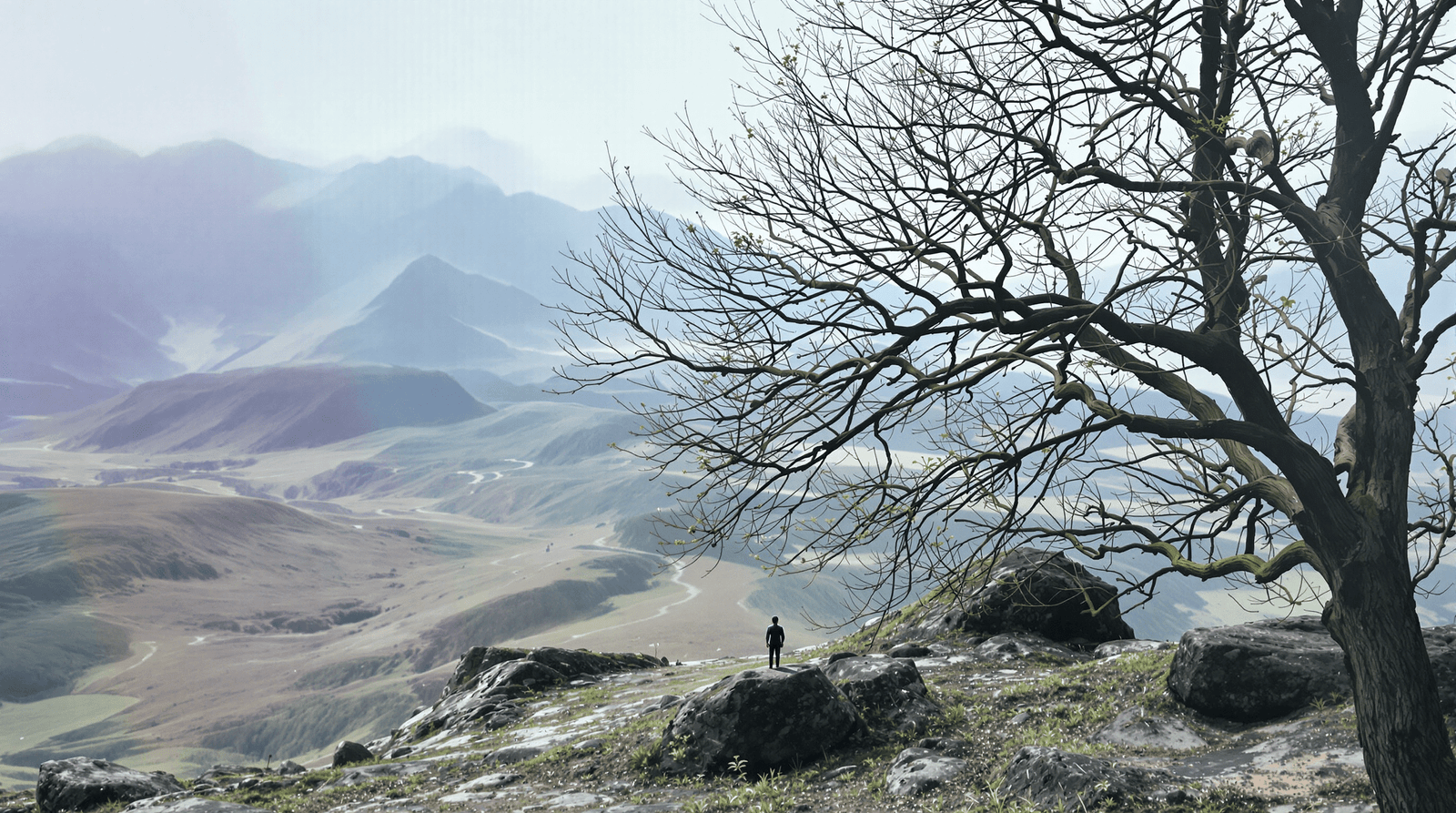 header blog 1 quick reset Hoe Rapid Transformational Therapy levens transformeert