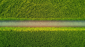 Waarom rtt beter is dan normale hypnose